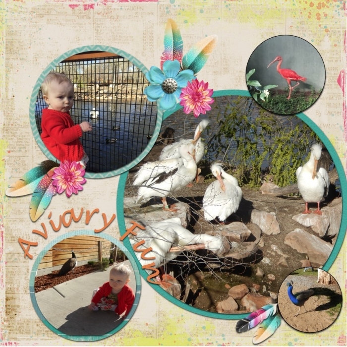bird zoo