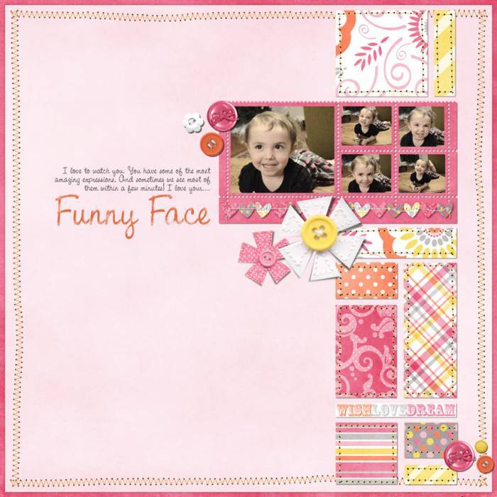 FUNNY FACE / ahg_011312