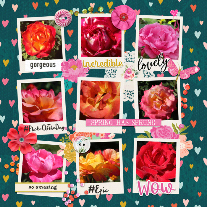 Roses