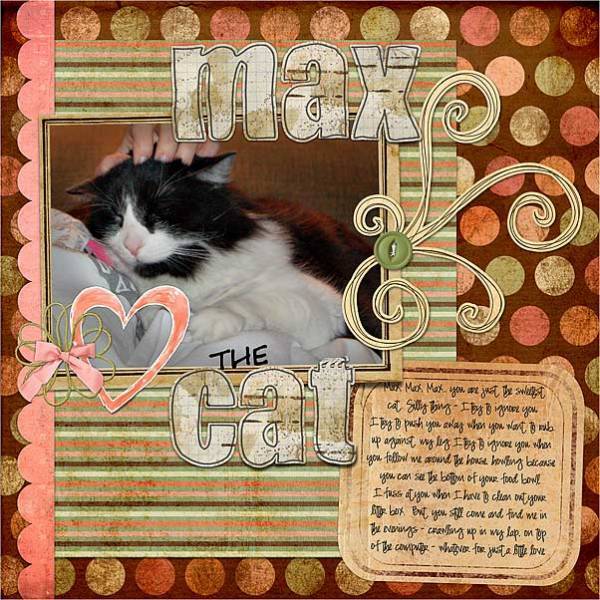 Max the Cat