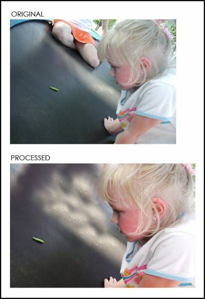 Nature Calls - Caterpillar