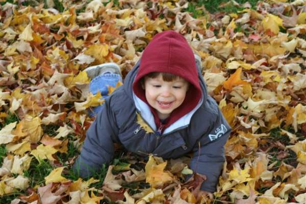 My photo for the Shutterbug Shakedown #31