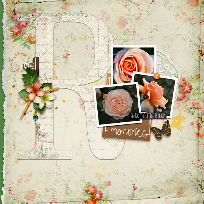 iNSD Mashup-Paper to Digi