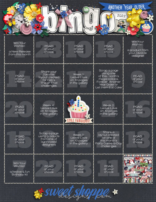 SSD 16 bday bash Bingo card