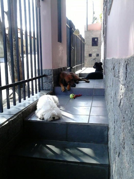 photo3