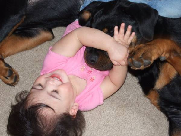 Piper and Pups close up