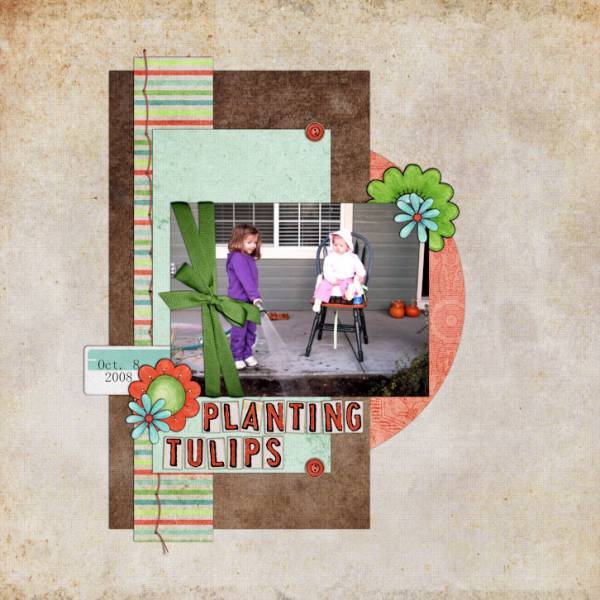 Planting Tulips