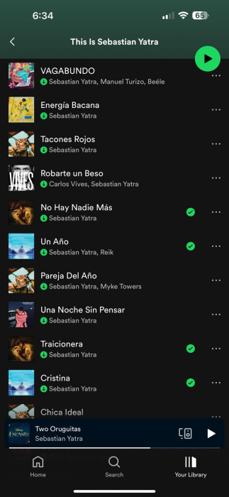 playlist11