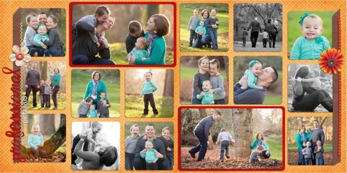 Professional Pictures