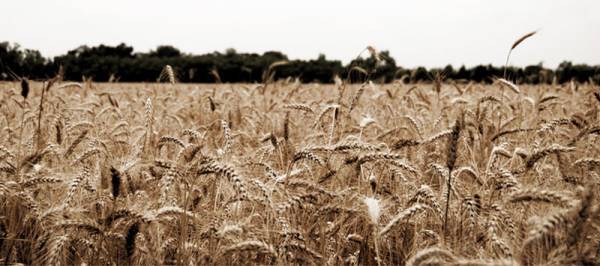 Shutterbug Shakedown #11- Rural
