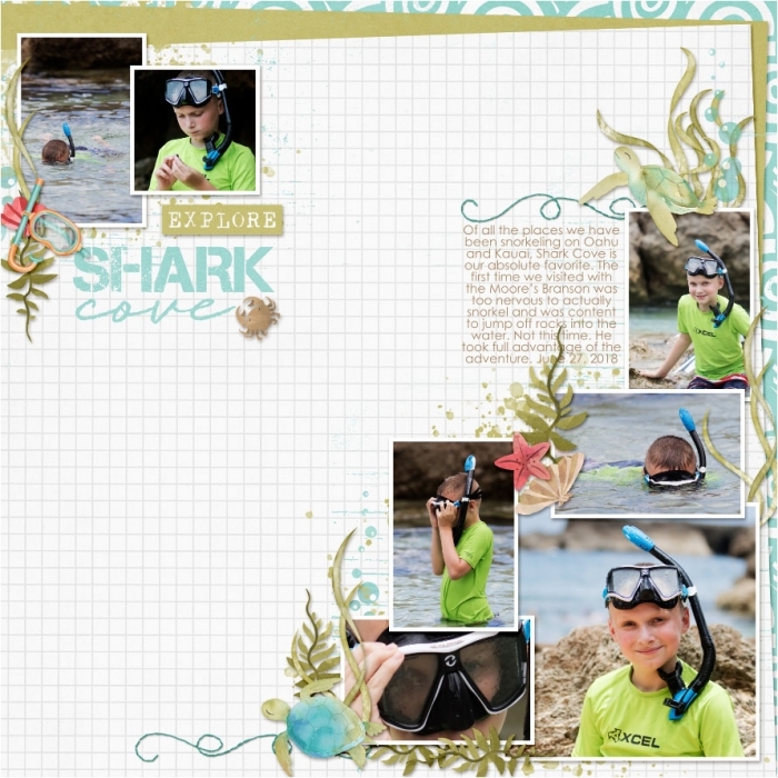 Shark Cove