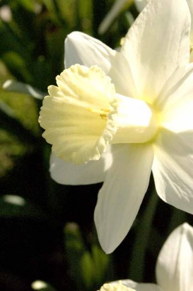 Shutterbug Shakedown #10: Nature Calls