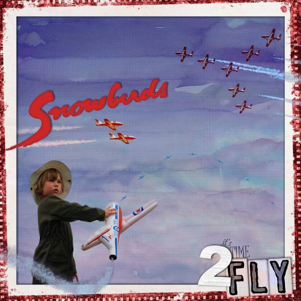 Flying with the Snowbirds