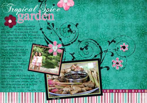 Tropical Spice Garden