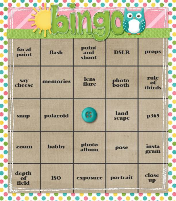 ssd_bingo_nsd-web