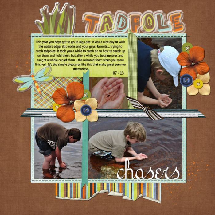 Tadpole Chasers