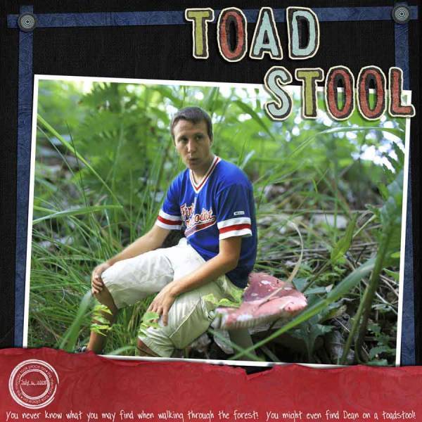 Toad Stool
