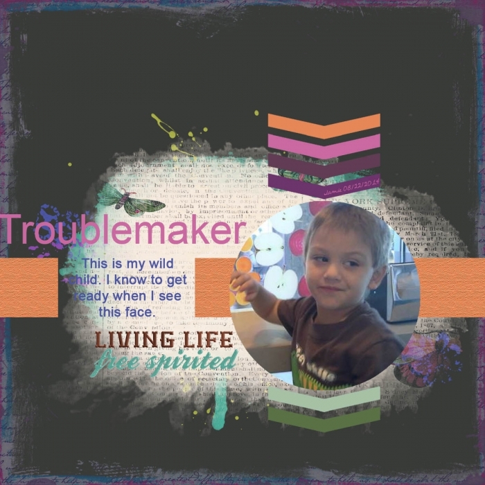 Troublemaker