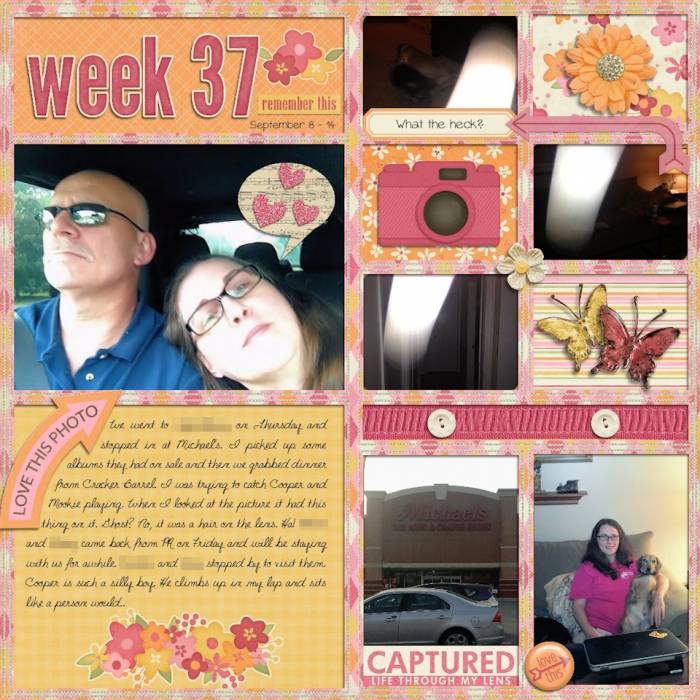 Week 37 2013