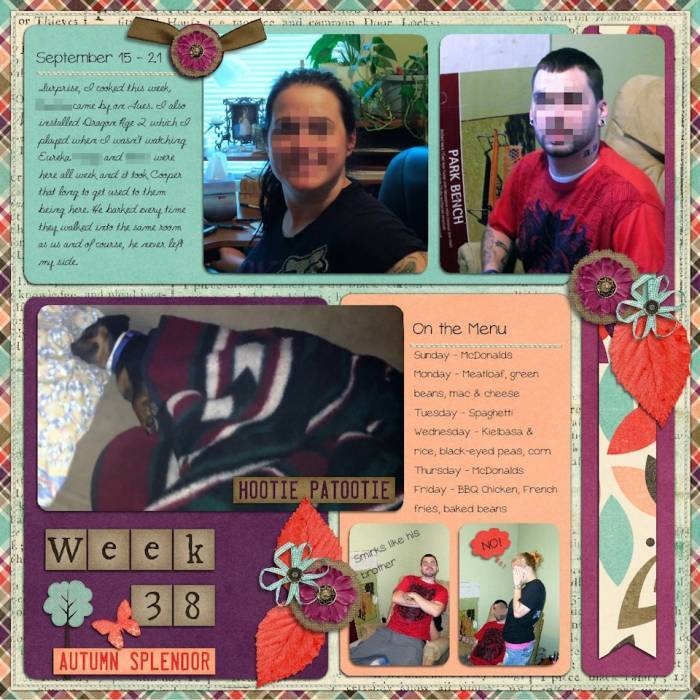 Week 38 2013