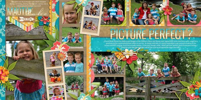 Picture perfect?
