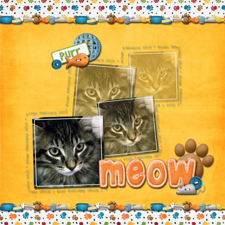 meow-for-web