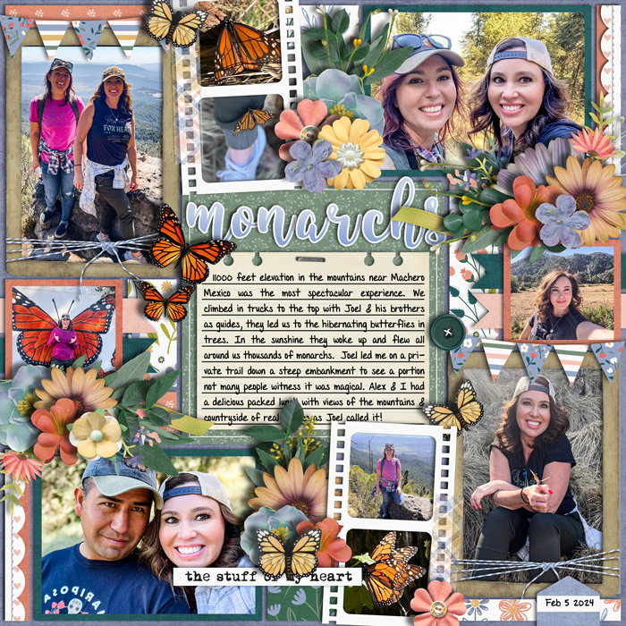 monarchs2024web