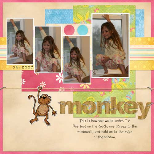 monkey-shelby