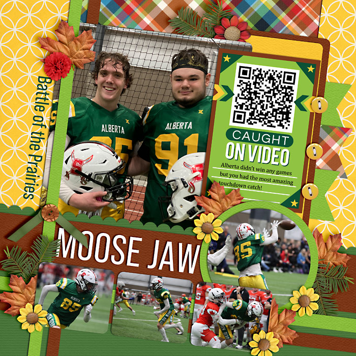 mooseJaw-web-700
