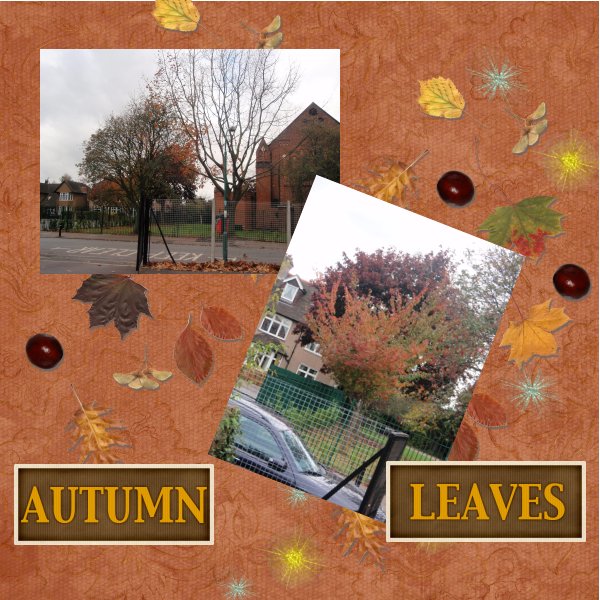 moreautumn