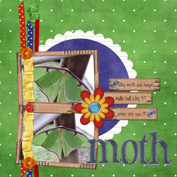 moth