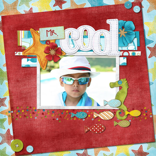 mr-cool