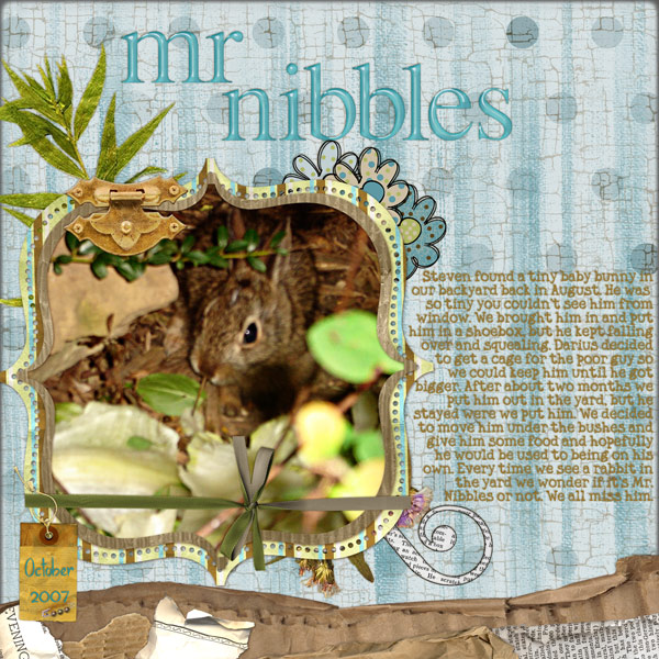 mrnibbles