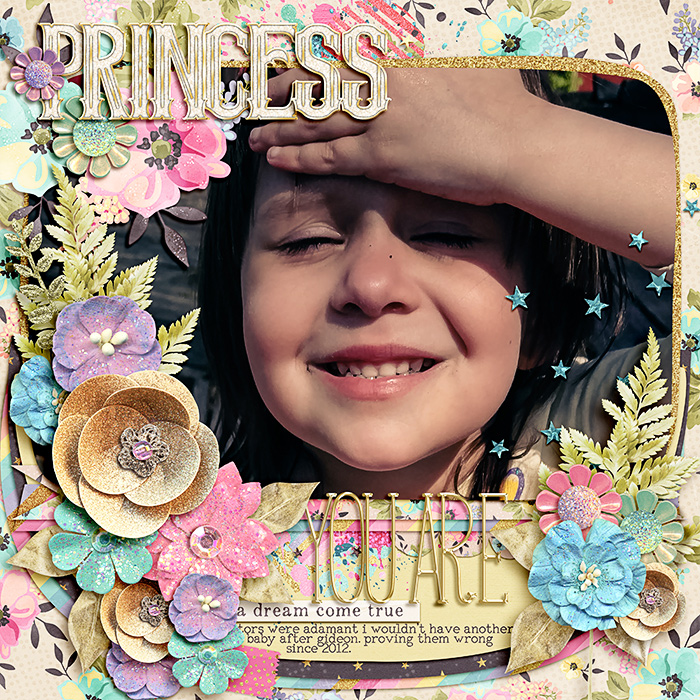 msbamf2you-princess1