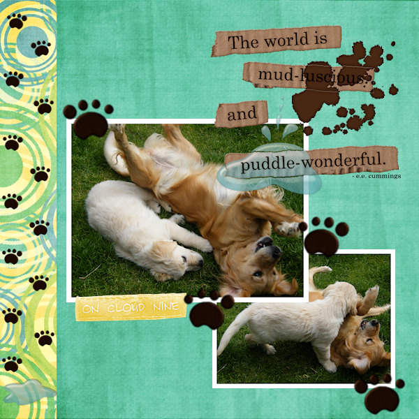 muddy_dogs