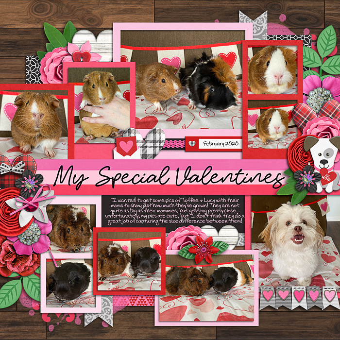 myspecialvalentinesweb