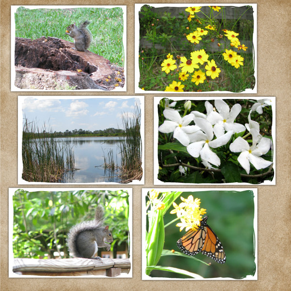 nature_photos