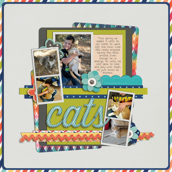 new-cats