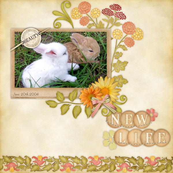 new_life1