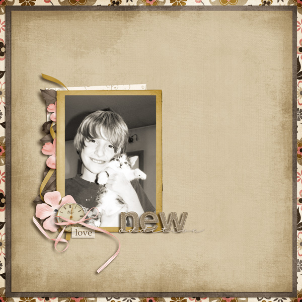 newaddition1