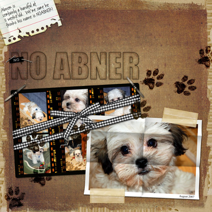 nonoabner