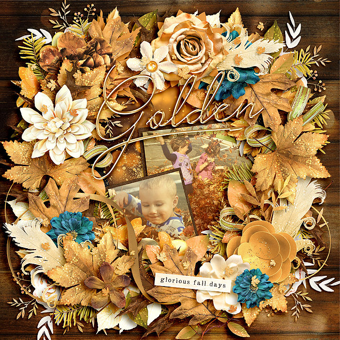 november06_smaller1