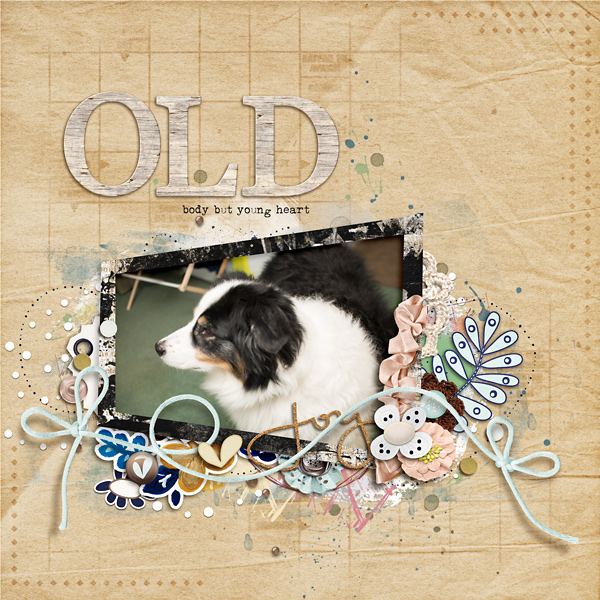 oldbody-copy