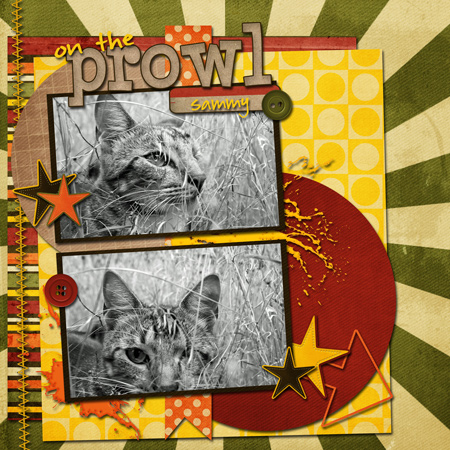 on-the-prowl