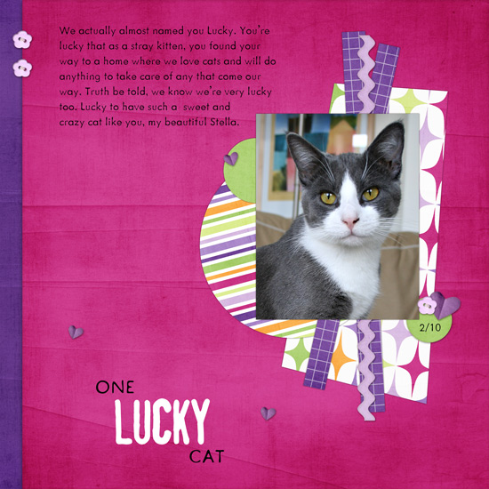 one-lucky-cat-web