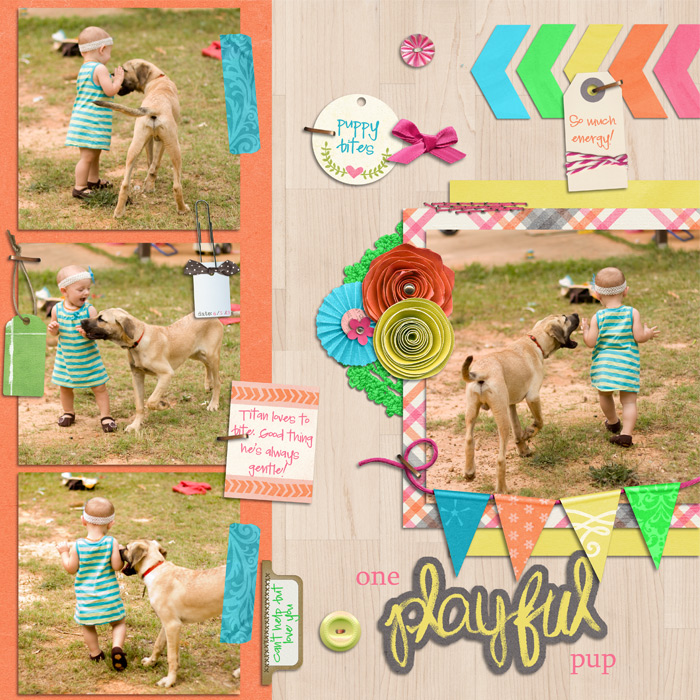 oneplayfulpup