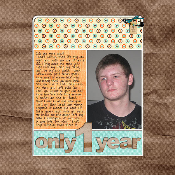 onlyoneyear_web