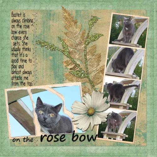 ontherosebow