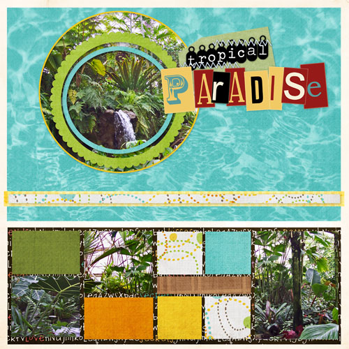 paradise5