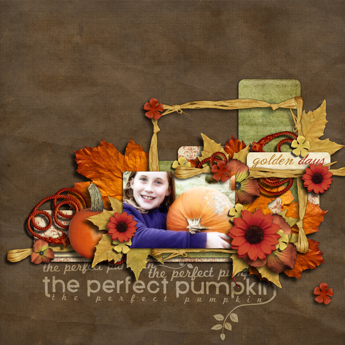 perfect-pu-pkin